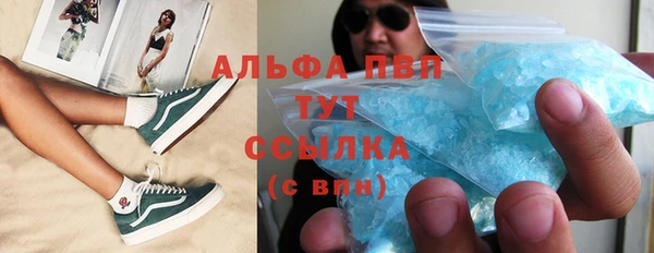 прущие грибы Богородск