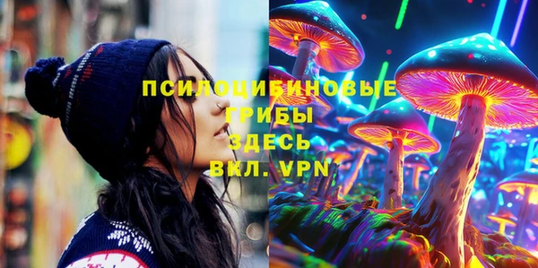 прущие грибы Богородск
