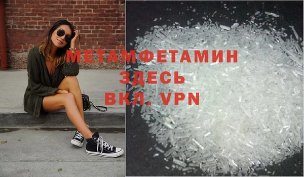 прущие грибы Богородск
