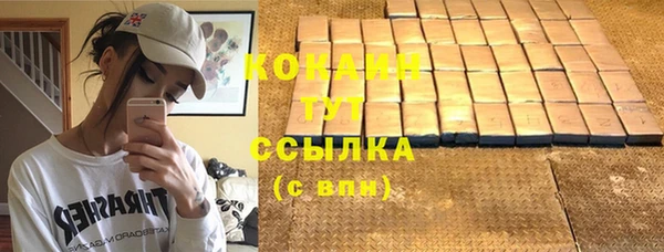 первитин Богданович