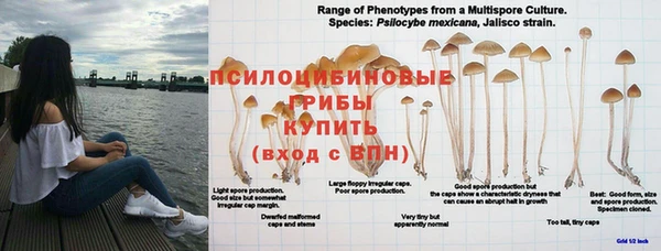 скорость Богородицк