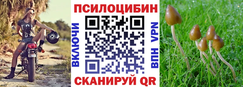 Галлюциногенные грибы MAGIC MUSHROOMS  Данилов 