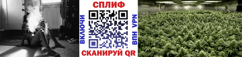 цена   Данилов  Конопля Bruce Banner 